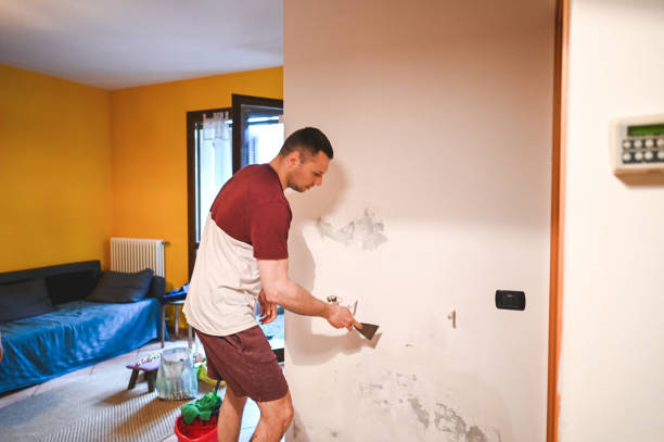 Best Water Damage Restoration  in Wabash, IN